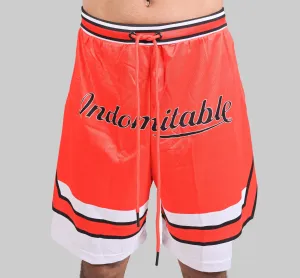 BreezyBall Dri-Fit Shorts (RED & WHITE)