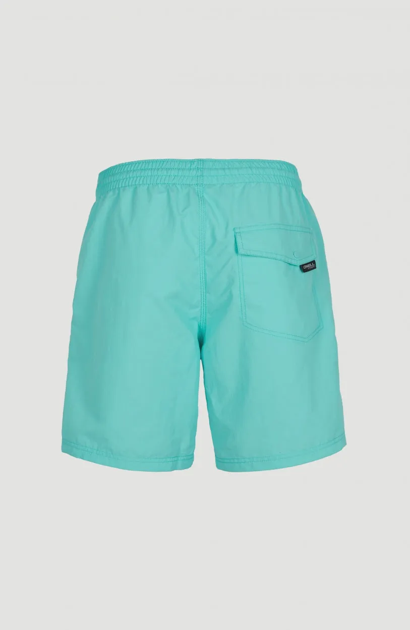 Vert Swim Shorts | Aqua Spalsh