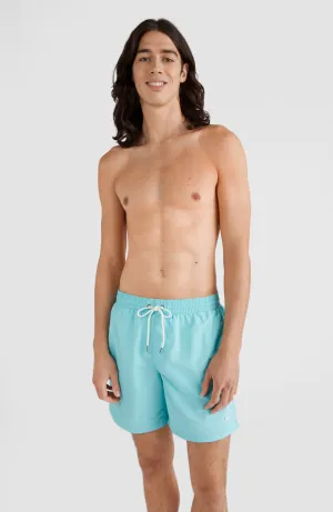 Vert Swim Shorts | Aqua Spalsh